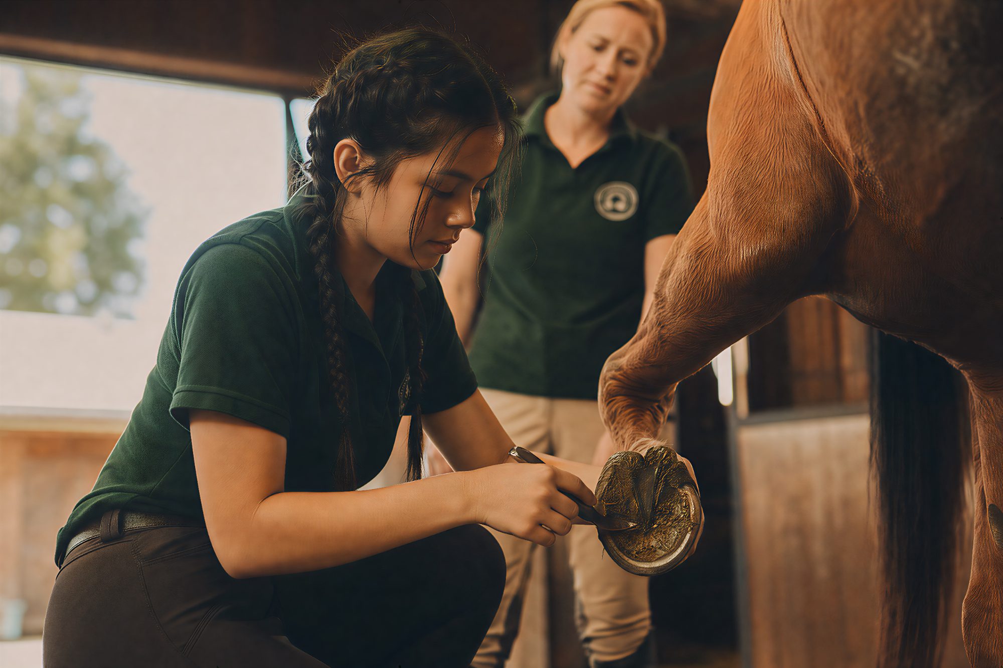 A student cleans a horse's hoof while an instructor observes